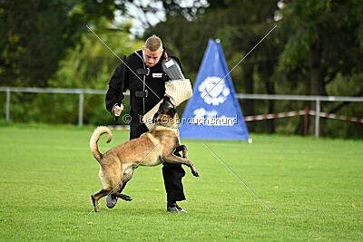 Jackazz Jazz de L'Etoile de L'Est