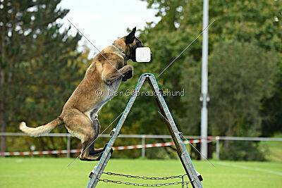 Jackazz Jazz de L'Etoile de L'Est