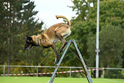 Jackazz Jazz de L'Etoile de L'Est