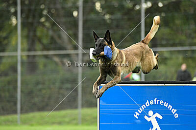 Jackazz Jazz de L'Etoile de L'Est