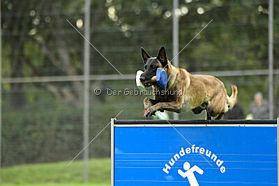 Jackazz Jazz de L'Etoile de L'Est