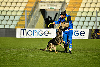 Jackie Chan von Berg Israel