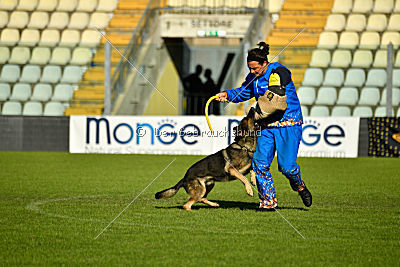 Jackie Chan von Berg Israel