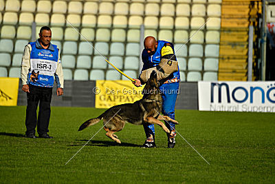 Jackie Chan von Berg Israel