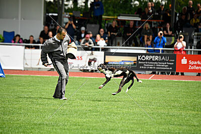 Jamas vom Normannstein