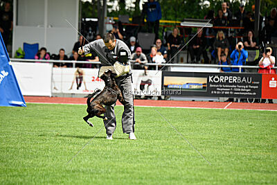 Jamas vom Normannstein