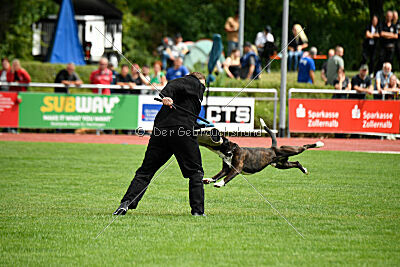 Jamas vom Normannstein