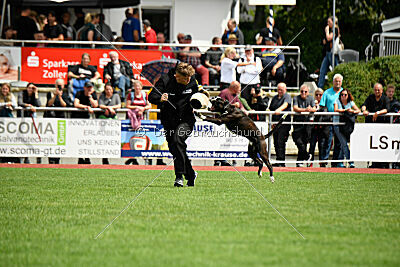 Jamas vom Normannstein