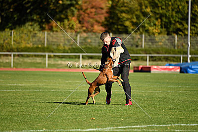 Januma vom Brömchen