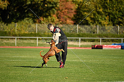 Januma vom Brömchen