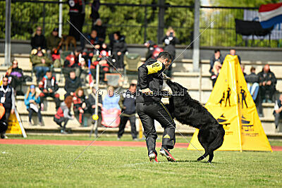 Jarak Perro de la Casa Negra