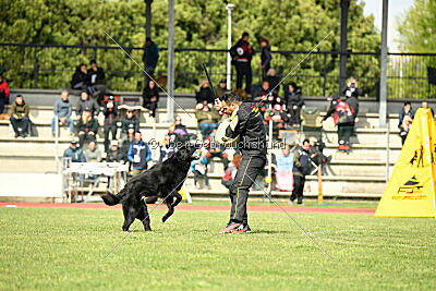 Jarak Perro de la Casa Negra