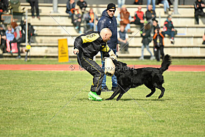 Jarak Perro de la Casa Negra
