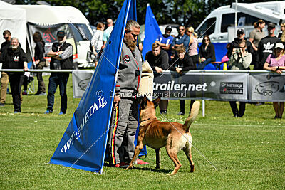 Jasper vom Streitwald