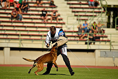 Jayko de L'Oree de Biliare