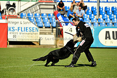 Jazz von der Mooreiche