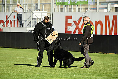 Jazz von der Mooreiche