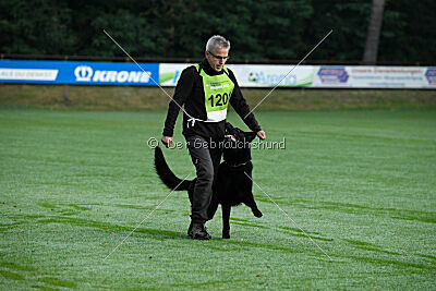 Jazz von der Mooreiche