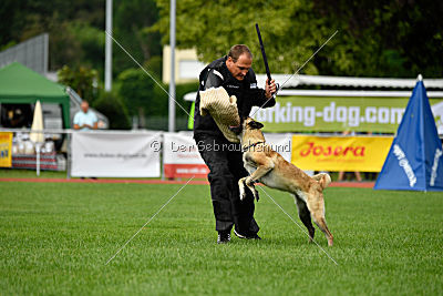 Jeannie de l'Etoile de l'Est