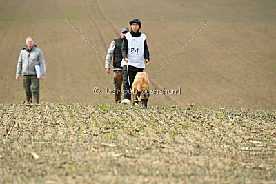 Jenny von den Unbestechlichen