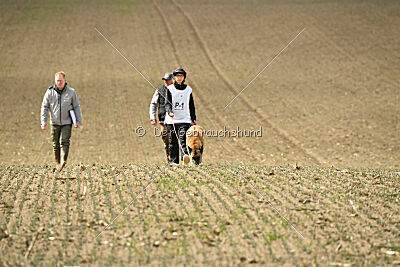 Jenny von den Unbestechlichen