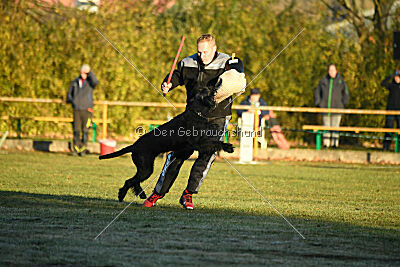 Jesse James Goldest Danubius