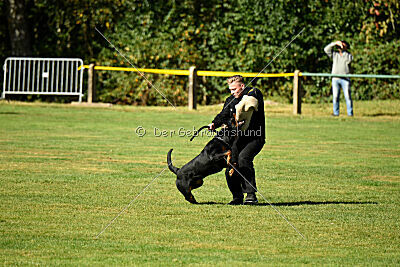 Jimmy vom Deisterhorst