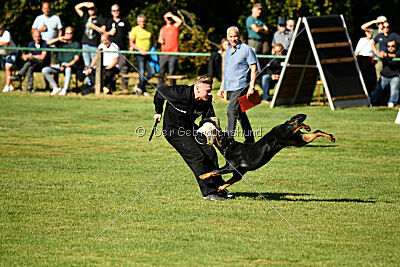 Jimmy vom Deisterhorst