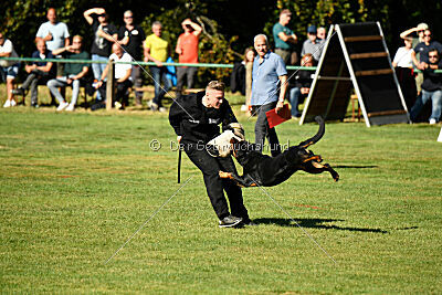 Jimmy vom Deisterhorst