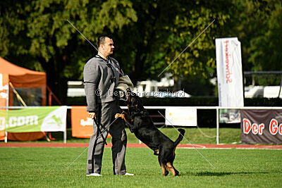 Jimmy von der Drachenhöhle