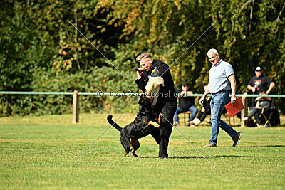 Jimmy von der Drachenhöhle