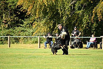 Jimmy von der Drachenhöhle