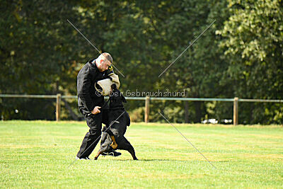 Jimmy von der Drachenhöhle