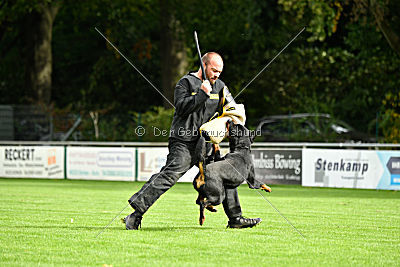 Joker vom Erler Teufelsstein