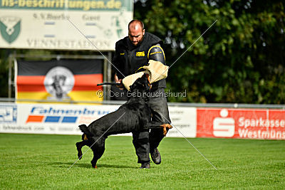 Joker vom Erler Teufelsstein
