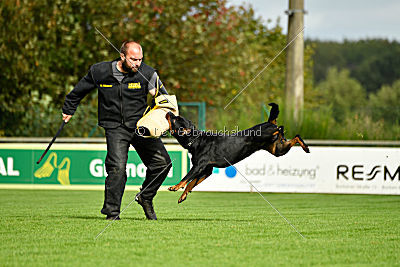 Joker vom Erler Teufelsstein