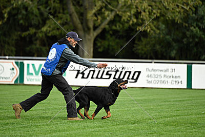 Joker vom Erler Teufelsstein