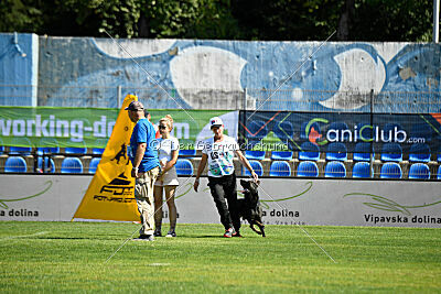 Joker von der Beizjagd