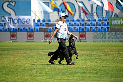 Joker von der Beizjagd