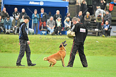 Jordan du Baudet Rouge