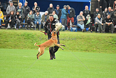 Jordan du Baudet Rouge