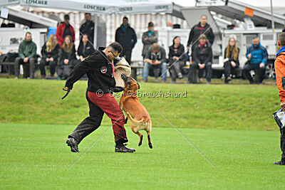 Jordan du Baudet Rouge