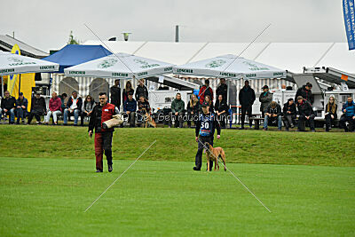 Jordan du Baudet Rouge