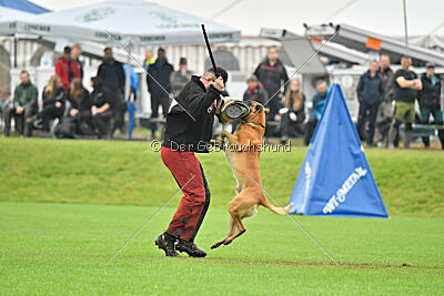 Jordan du Baudet Rouge