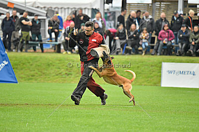 Jordan du Baudet Rouge