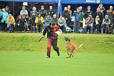Jordan du Baudet Rouge