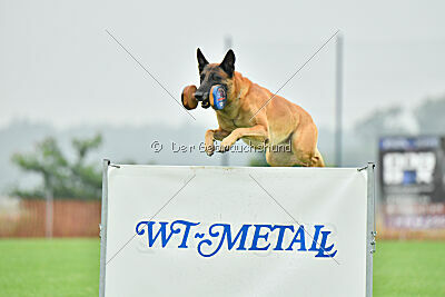 Jordan du Baudet Rouge