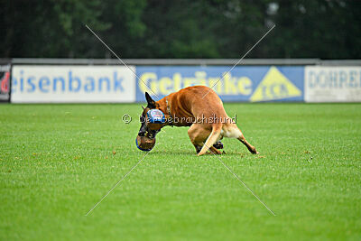 Jordan du Baudet Rouge