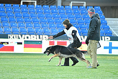 Jordan vom Kämpferherz