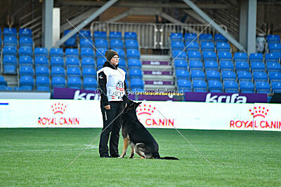 Jordan vom Kämpferherz